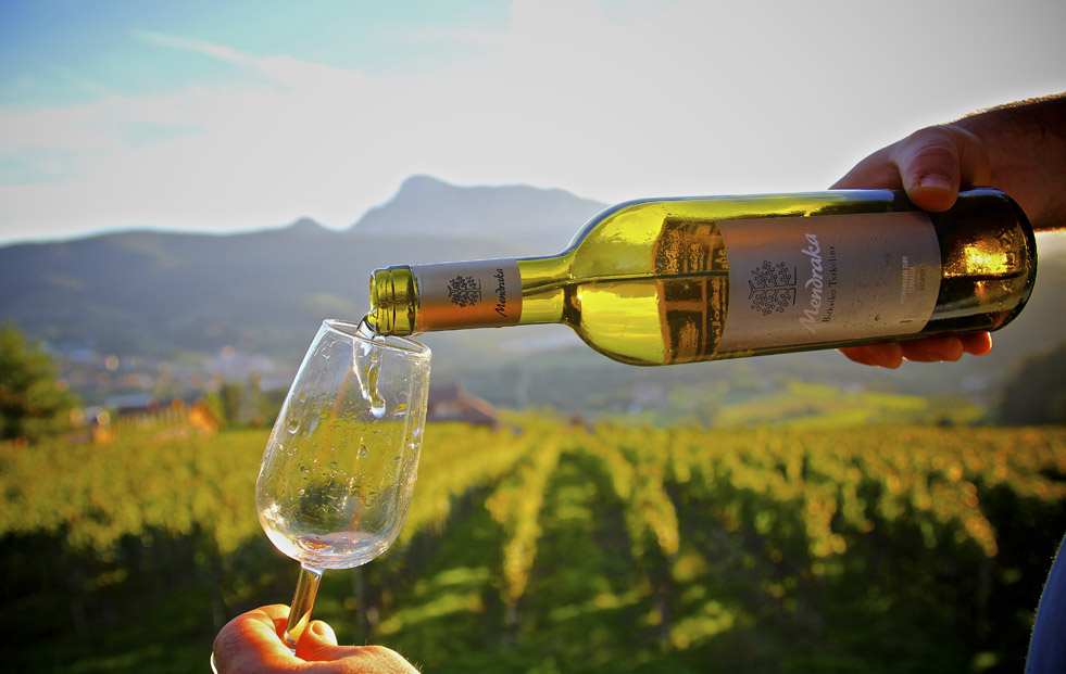 MENDRAKA BIZKAIKO TXACOLINA